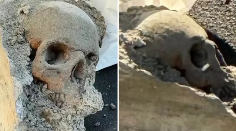 Workers Discover ‘Skull’ Sealed in Concrete at Boston Pier, Prompting Fears of a Mob Hit